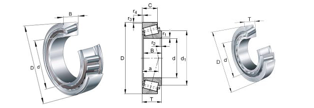 SKF32019